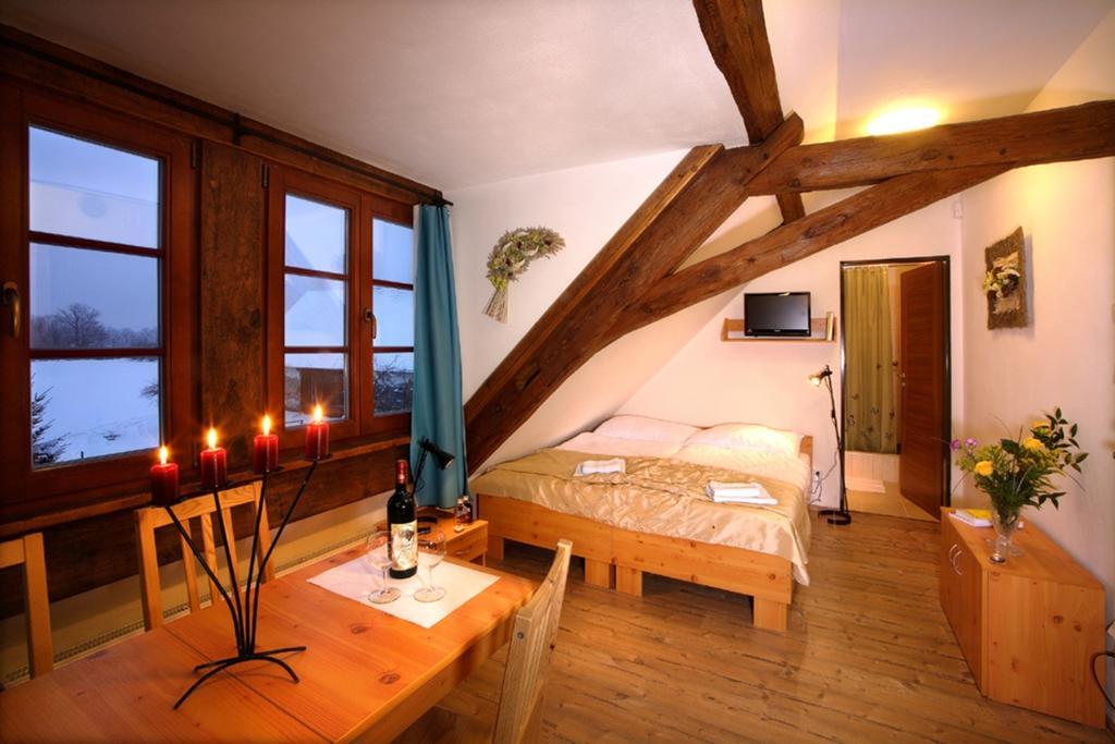 Wellness Hotel & Minipivovar Knezinek Czeskie Budziejowice Pokój zdjęcie
